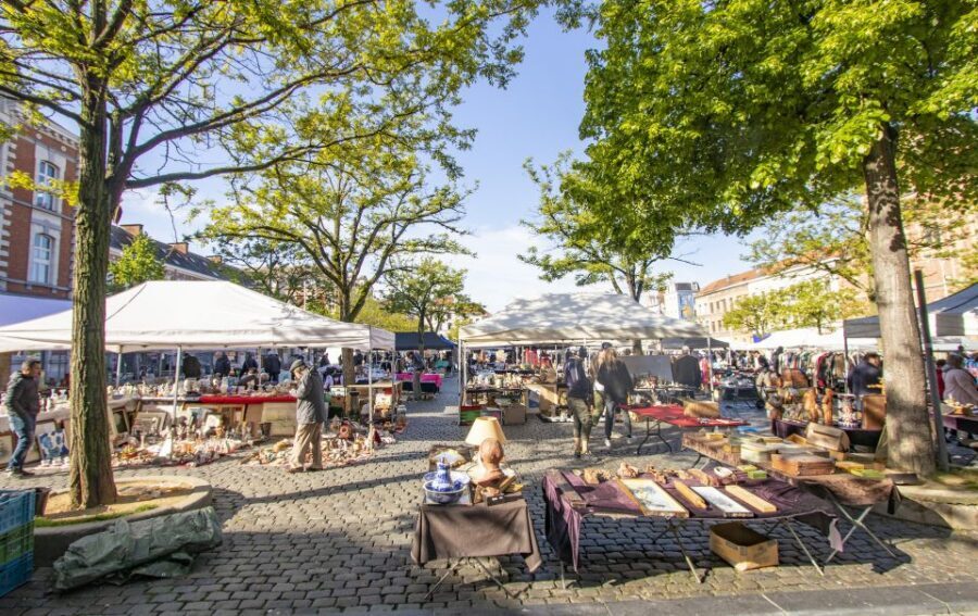 Brussels: Express Walk with a Local in 60 minutes - How “grand squares” storytelling actually helps you travel better