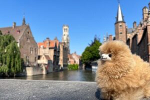 Private Full-Day Tour Bruges & Ghent from Brussels with tastings - Bruges for real: medieval stories, smart pacing, and the tastings payoff